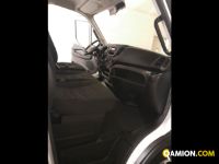 Iveco Mod. IVECO Vers. IVECO | Leggero Cabinato <= 35 q.li Cassone fisso doppia cabina | INDUSTRIAL CARS S.P.A