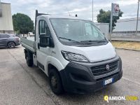 Fiat Mod. FIAT Vers. FIAT | Leggero Cabinato <= 35 q.li Cassone fisso | INDUSTRIAL CARS S.P.A