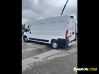 Fiat Mod. FIAT Vers. FIAT | Leggero Furgone <= 35 q.li Furgone di serie / Van | INDUSTRIAL CARS S.P.A