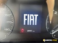 Fiat Mod. FIAT Vers. FIAT | Leggero Cabinato <= 35 q.li Furgonato | INDUSTRIAL CARS S.P.A