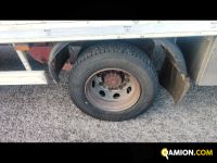 Iveco Mod. IVECO Vers. IVECO | Leggero Cabinato > 35 q.li Trasporto animali | INDUSTRIAL CARS S.P.A