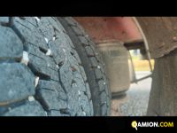 Iveco Mod. IVECO Vers. IVECO | Leggero Cabinato > 35 q.li Trasporto animali | INDUSTRIAL CARS S.P.A
