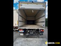 Iveco Mod. IVECO Vers. IVECO | Leggero Cabinato > 35 q.li Furgonato con sponda | INDUSTRIAL CARS S.P.A