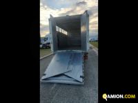 Iveco Mod. IVECO Vers. IVECO | Leggero Cabinato > 35 q.li Trasporto animali | INDUSTRIAL CARS S.P.A