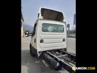 Iveco Mod. IVECO Vers. IVECO | Leggero Cabinato <= 35 q.li Telaio | INDUSTRIAL CARS S.P.A