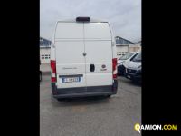 Fiat Mod. FIAT Vers. FIAT | Leggero Furgone <= 35 q.li Furgone di serie / Van | INDUSTRIAL CARS S.P.A