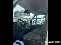 Iveco Mod. IVECO Vers. IVECO | Leggero Cabinato > 35 q.li Furgone di serie / Van | INDUSTRIAL CARS S.P.A