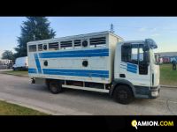 Iveco Mod. IVECO Vers. IVECO | Leggero Cabinato > 35 q.li Trasporto animali | INDUSTRIAL CARS S.P.A