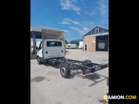 Iveco Mod. IVECO Vers. IVECO | Leggero Cabinato <= 35 q.li Telaio | INDUSTRIAL CARS S.P.A