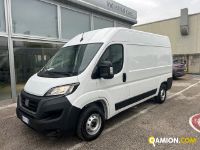 Fiat Mod. FIAT Vers. FIAT | Leggero Furgone <= 35 q.li Furgone di serie / Van | INDUSTRIAL CARS S.P.A