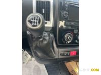 Fiat Mod. FIAT Vers. FIAT | Leggero Cabinato <= 35 q.li Telaio | INDUSTRIAL CARS S.P.A