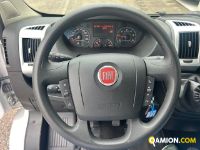 Fiat Mod. FIAT Vers. FIAT | Leggero Cabinato <= 35 q.li Cassone fisso | INDUSTRIAL CARS S.P.A