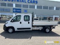 Fiat Mod. FIAT Vers. FIAT | Leggero Cabinato <= 35 q.li Cassone fisso | INDUSTRIAL CARS S.P.A