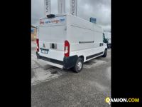 Fiat Mod. FIAT Vers. FIAT | Leggero Furgone <= 35 q.li Furgone di serie / Van | INDUSTRIAL CARS S.P.A
