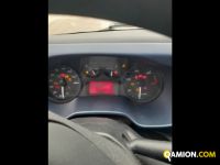 Iveco Mod. IVECO Vers. IVECO | Leggero Cabinato <= 35 q.li Furgonato | INDUSTRIAL CARS S.P.A