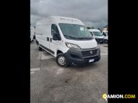 Fiat Mod. FIAT Vers. FIAT | Leggero Furgone <= 35 q.li Furgone di serie / Van | INDUSTRIAL CARS S.P.A