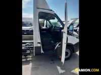 Iveco Mod. IVECO Vers. IVECO | Leggero Cabinato <= 35 q.li Telaio | INDUSTRIAL CARS S.P.A