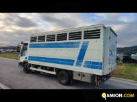 Iveco Mod. IVECO Vers. IVECO | Leggero Cabinato > 35 q.li Trasporto animali | INDUSTRIAL CARS S.P.A