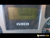 Iveco Mod. IVECO Vers. IVECO | Leggero Cabinato > 35 q.li Trasporto animali | INDUSTRIAL CARS S.P.A