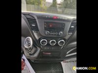 Iveco Mod. IVECO Vers. IVECO | Leggero Cabinato > 35 q.li Furgonato con sponda | INDUSTRIAL CARS S.P.A