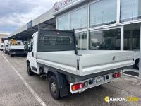 Fiat Mod. FIAT Vers. FIAT | Leggero Cabinato <= 35 q.li Cassone fisso | INDUSTRIAL CARS S.P.A