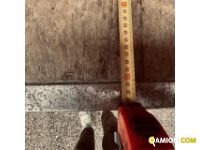 Iveco Mod. IVECO Vers. IVECO | Leggero Cabinato <= 35 q.li Furgonato | INDUSTRIAL CARS S.P.A