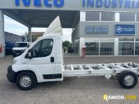 Fiat Mod. FIAT Vers. FIAT | Leggero Cabinato <= 35 q.li Telaio | INDUSTRIAL CARS S.P.A