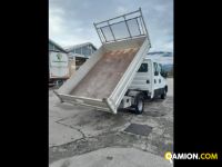 Iveco Mod. IVECO Vers. IVECO | Leggero Cabinato <= 35 q.li Cassone fisso doppia cabina | INDUSTRIAL CARS S.P.A