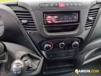 Iveco DAILY 35C13 DAILY 35C13 | Altro Altro | Iveco Orecchia