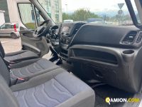 Iveco DAILY 35C12 DAILY 35C12 | Altro Altro | Iveco Orecchia