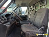 Iveco DAILY 35C13 DAILY 35C13 Altro | Iveco Orecchia