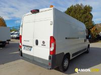Fiat DUCATO DUCATO Altro | Iveco Orecchia