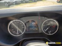 Iveco DAILY 35C14 DAILY 35C14 | Altro Altro | Iveco Orecchia