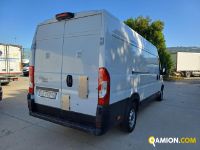 Fiat DUCATO DUCATO | Altro Altro | Iveco Orecchia