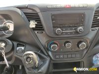 Iveco DAILY 35S14 DAILY 35S14 | Altro Altro | Iveco Orecchia
