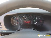 Iveco DAILY 35S13 DAILY 35S13 | Altro Altro | Iveco Orecchia
