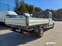 Ford TRANSIT 6+1 TRANSIT 6+1 | Altro Altro | Iveco Orecchia