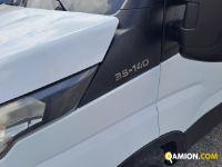 Iveco DAILY 35C14 DAILY 35C14 | Altro Altro | Iveco Orecchia