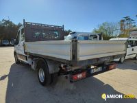 Ford TRANSIT 6+1 TRANSIT 6+1 | Altro Altro | Iveco Orecchia