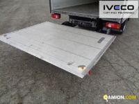 Iveco DAILY 35C16 DAILY 35C16 Altro | Iveco Orecchia