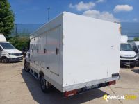 Iveco DAILY 35S13 DAILY 35S13 | Altro Altro | Iveco Orecchia