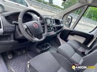 Fiat DUCATO DUCATO | Iveco Orecchia