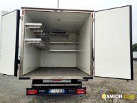 Iveco DAILY 50C15 DAILY 50C15 | Altro Altro | Iveco Orecchia