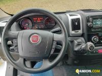 Fiat DUCATO BOX+SPONDA DUCATO BOX+SPONDA | Altro Altro | Iveco Orecchia