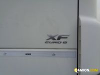 Daf XF460 XF460 | Altro Altro | Iveco Orecchia