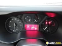 Iveco DAILY 35S14 AT8 DAILY 35S14 AT8 | Altro Altro | Iveco Orecchia