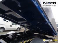 Iveco DAILY 35C14 - 3450 - 6 +1 DAILY 35C14 - 3450 - 6 +1 | Altro Altro | Iveco Orecchia