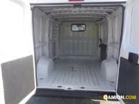 Fiat DUCATO DUCATO | Altro Altro | Iveco Orecchia