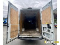 Iveco DAILY daily 35s13 | Altro Altro | Iveco Orecchia