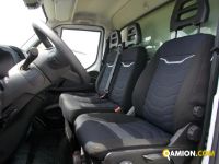 Iveco DAILY 35C16 3.0 - 4100 DAILY 35C16 3.0 - 4100 | Altro Altro | Iveco Orecchia